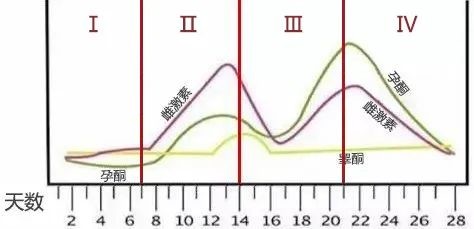 生理周期中三种激素水平变化曲线